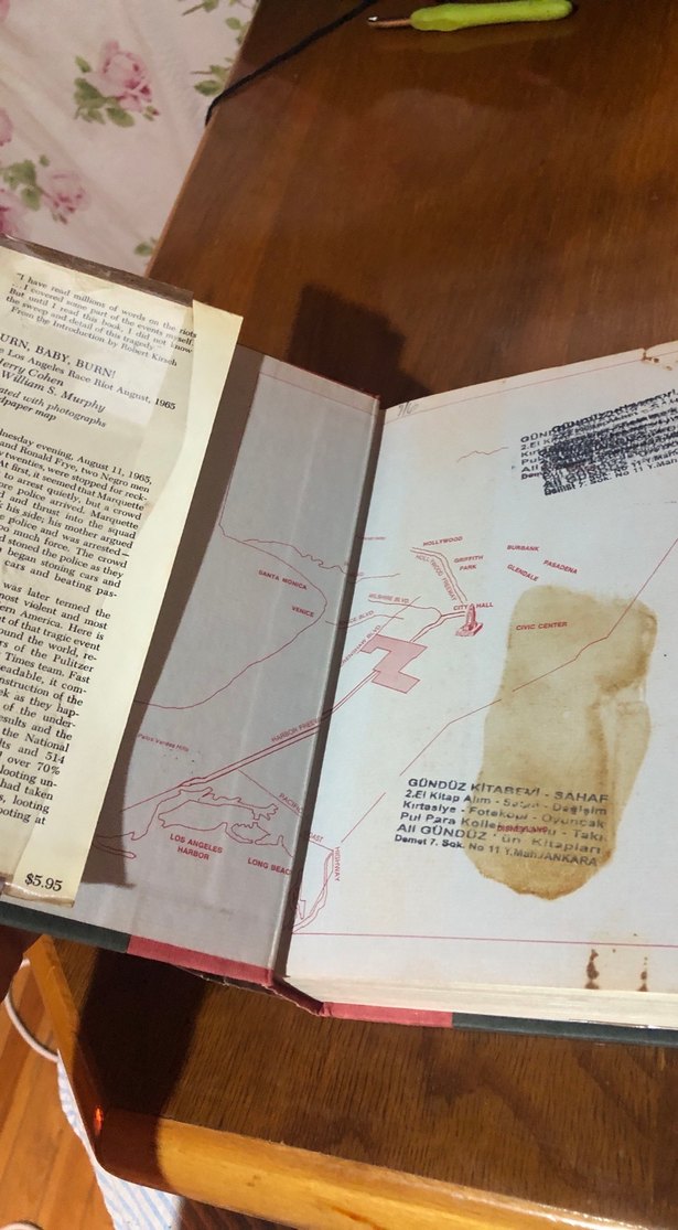 Burn, Baby, Burn! - The Los Angeles Race Riot, August 1965 - Görsel 4