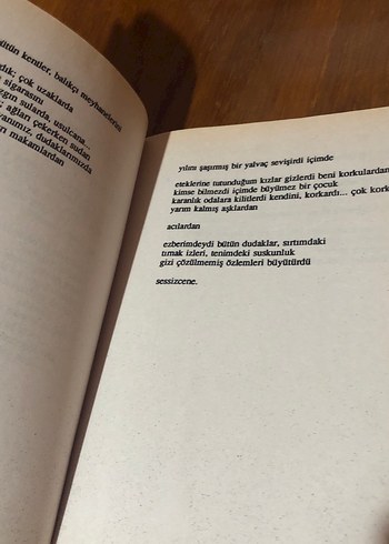 Altay Öktem - Beni Yanlış Öptüler Aslında - Görsel 5