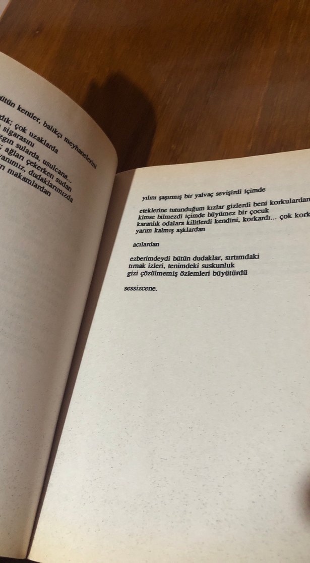 Altay Öktem - Beni Yanlış Öptüler Aslında - Görsel 5