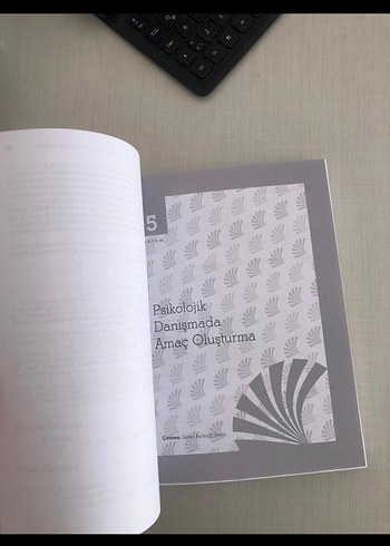  Psikolojik Danışma İlkeleri ve Teknikleri Kitabı