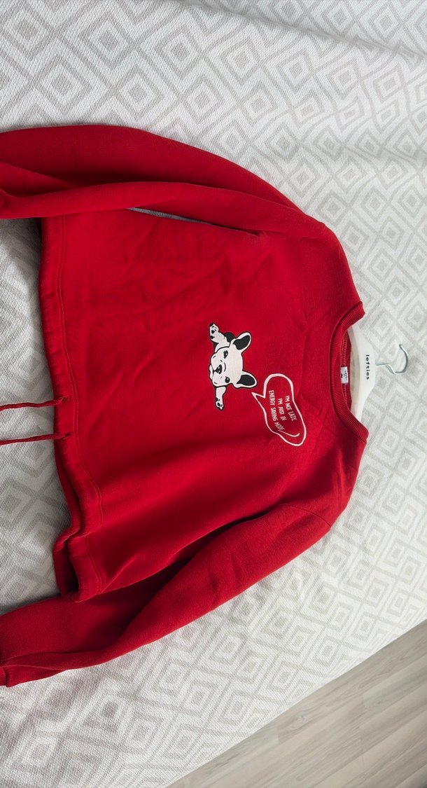 Kırmızı Baskılı Kadın Sweatshirt - Görsel 2