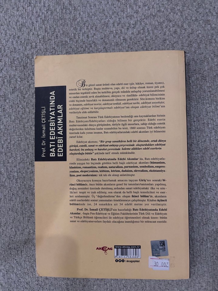 Batı Edebiyatında Edebi Akımlar Kitabı - Görsel 2