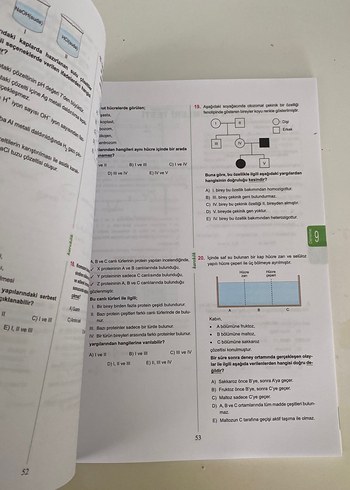 Beden TYT Fen Bilimleri Denemeleri Kitabı