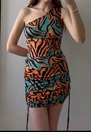 Zebra elbise