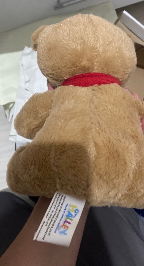 Kahverengi Peluş Ayıcık - Görsel 2