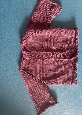 Bordo köpek veya kedi Triko Hırka