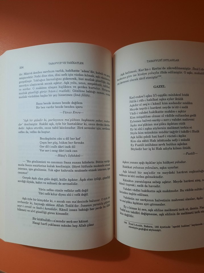 Tasavvuf ve Tarikatlar - Dr. Selçuk Eraydın - Görsel 2