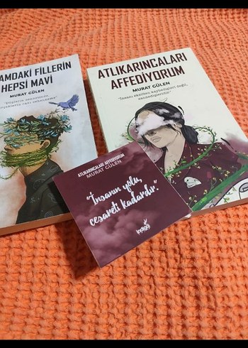 Kafamdaki Fiillerin Hepsi Mavi & Atlıkarıcaları Affediyorum - Görsel 4