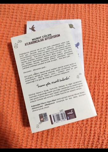 Kafamdaki Fiillerin Hepsi Mavi & Atlıkarıcaları Affediyorum - Görsel 3