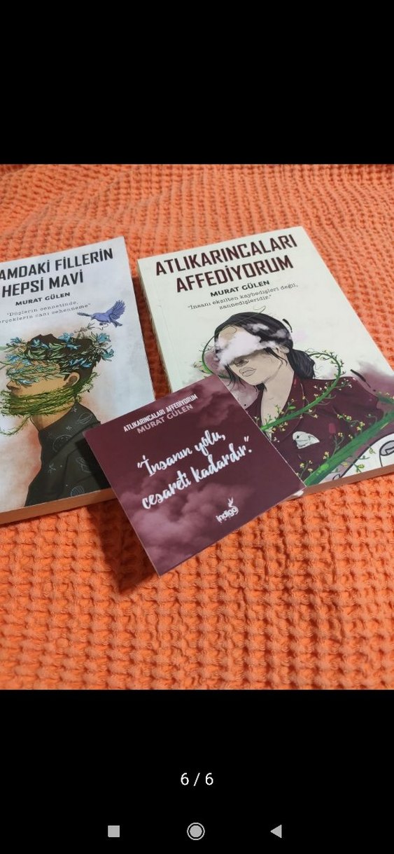 Kafamdaki Fiillerin Hepsi Mavi & Atlıkarıcaları Affediyorum - Görsel 4