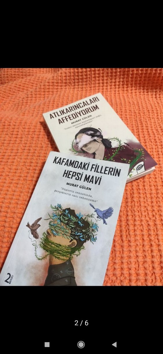 Kafamdaki Fiillerin Hepsi Mavi & Atlıkarıcaları Affediyorum - Görsel 2