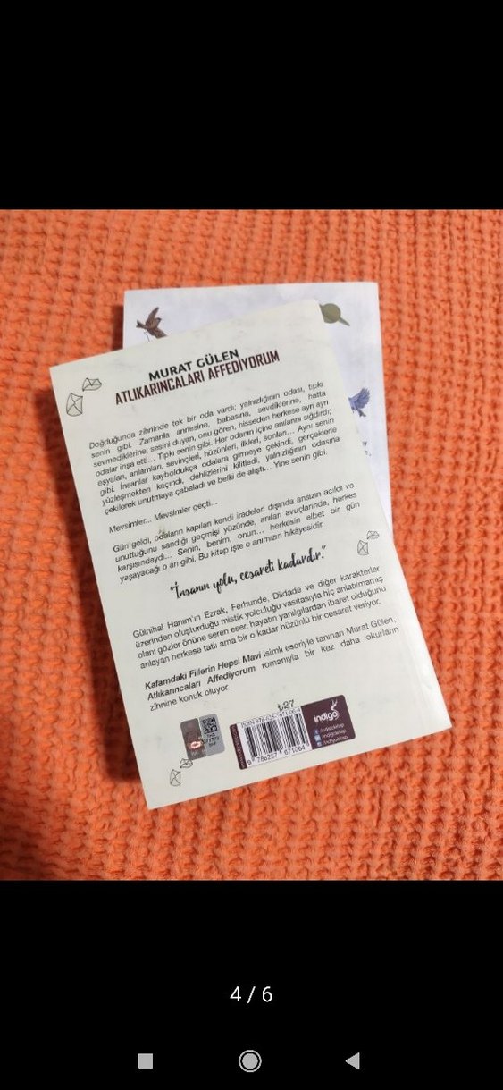 Kafamdaki Fiillerin Hepsi Mavi & Atlıkarıcaları Affediyorum - Görsel 3