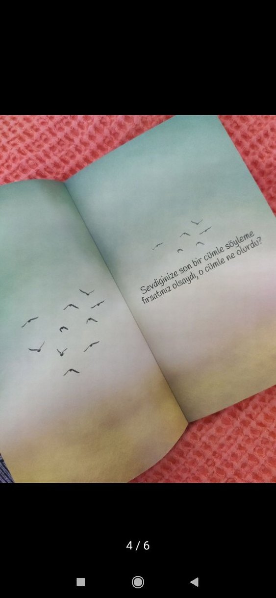 Fesleğen - Hikmet Anıl Öztekin - Görsel 4