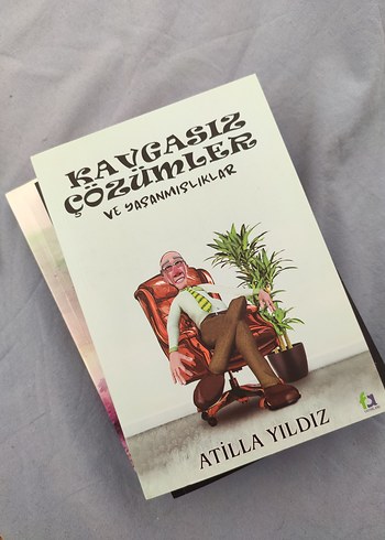 Çeşitli Kitaplar: Aşk, Kayalıklar, Macera - Görsel 4