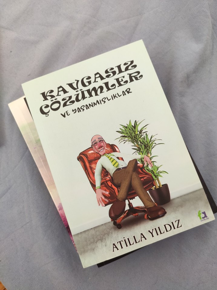 Çeşitli Kitaplar: Aşk, Kayalıklar, Macera - Görsel 4