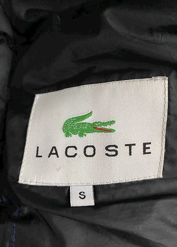 s Beden mavi Renk Lacoste Lacivert Fermuarlı Erkek Mont