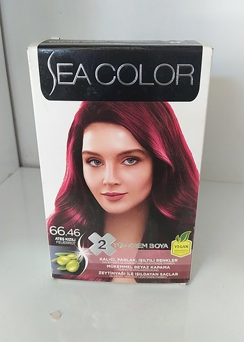 SEACOLOR Krem Boya - Görsel 3