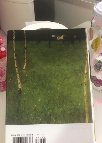 The Echoing Green - ingilizce - Görsel 2