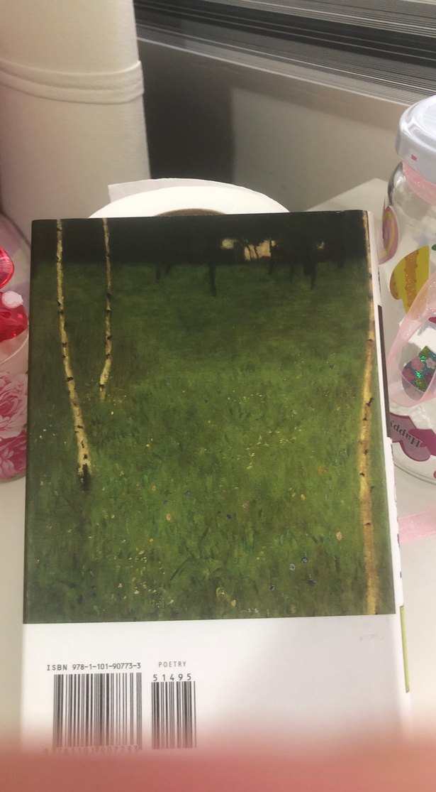 The Echoing Green - ingilizce - Görsel 2