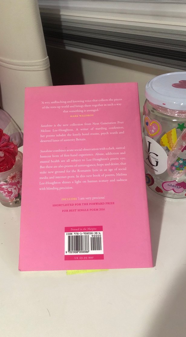 Sunshine - Melissa Lee-Houghton Şiir Kitabı - Görsel 2
