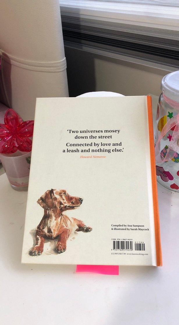 Köpek Şiirleri Kitabı ingilizce - Görsel 2