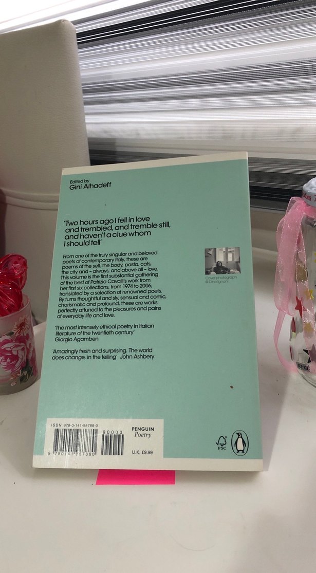 Patrizia Cavalli - Şiirlerim Dünyayı Değiştirmez ingilizce - Görsel 2