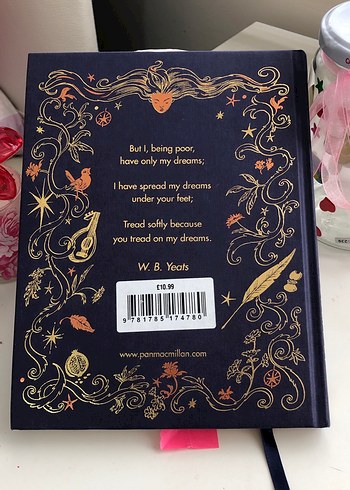 Chris Riddell İmzalı Şiir Kitabı ingilizce - Görsel 2