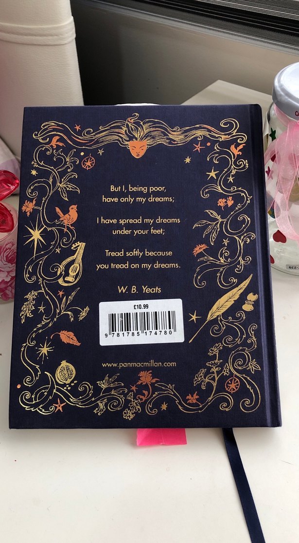 Chris Riddell İmzalı Şiir Kitabı ingilizce - Görsel 2