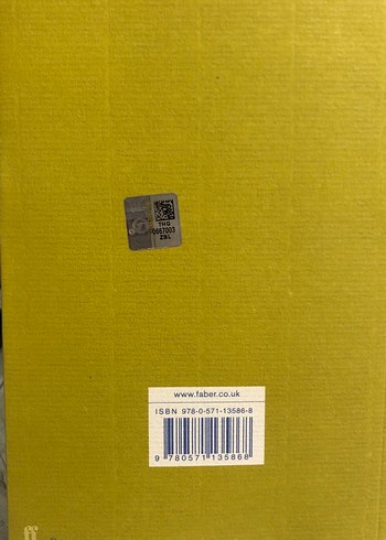 Sylvia Plath Seçme Şiirler Kitabı ingilizce - Görsel 2