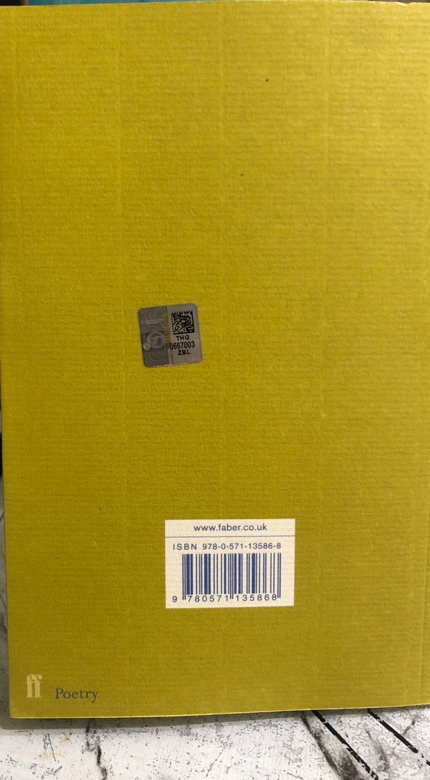 Sylvia Plath Seçme Şiirler Kitabı ingilizce - Görsel 2