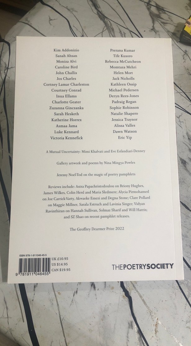 The Poetry Review - Şiir Kitabı - Görsel 2