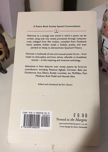 Poetik Formlarda Maceralar - Şiir Kitabı - Görsel 2