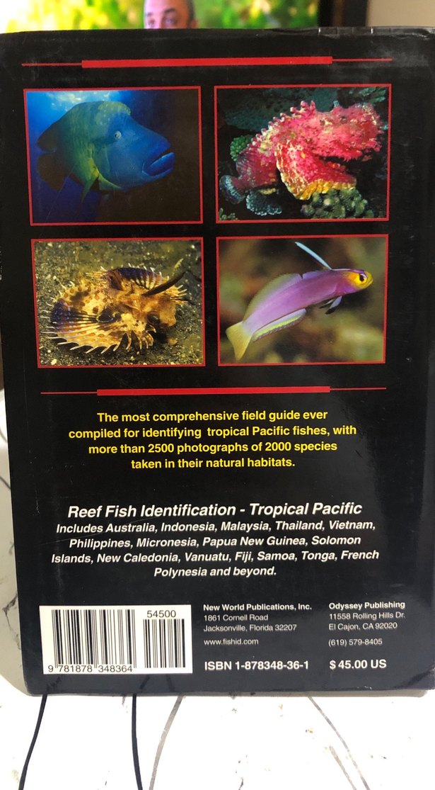 Tropikal Pasifik Resif Balıkları Rehberi - Görsel 2