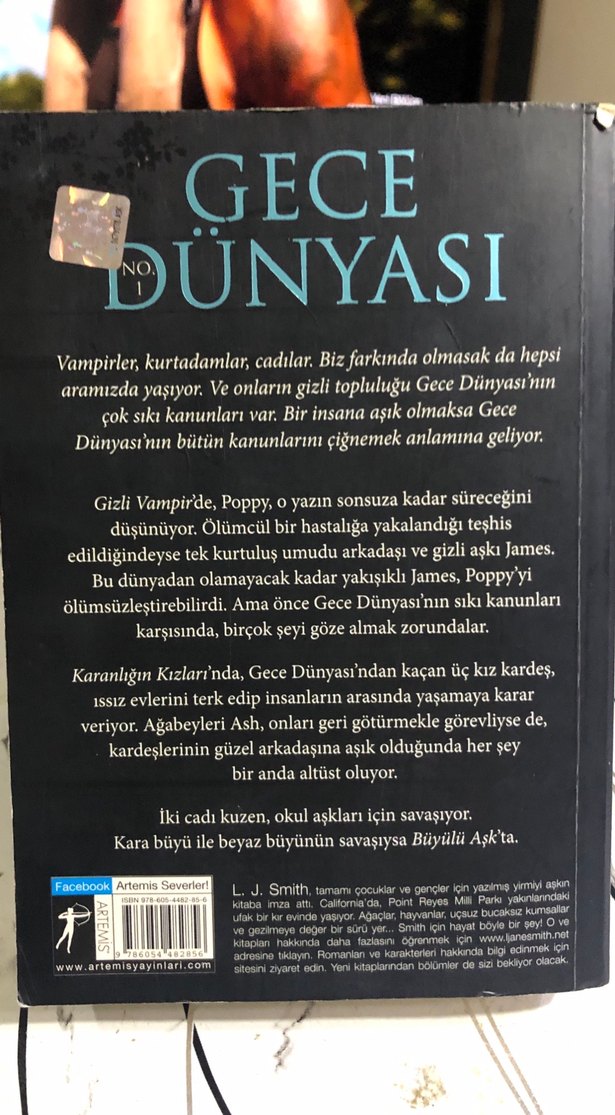 Gece Dünyası - L. J. Smith - Görsel 2