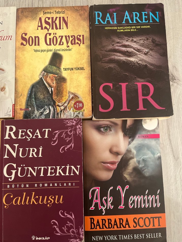 Çeşitli Roman Kitapları Seti - Görsel 4