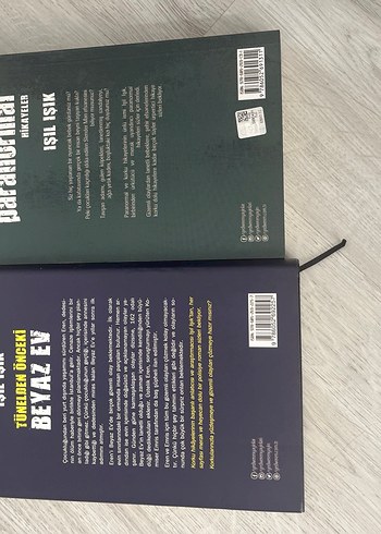 Işıl Işık'tan Paranormal Hikayeler ve Beyaz Ev - Görsel 2