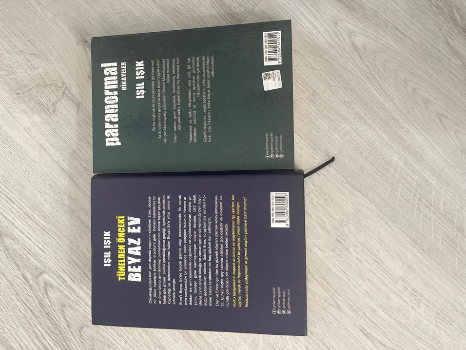 Işıl Işık'tan Paranormal Hikayeler ve Beyaz Ev - Görsel 2