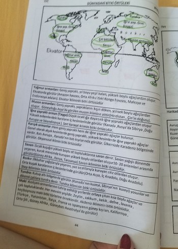 İklim Türleri ve Özellikleri Haritası