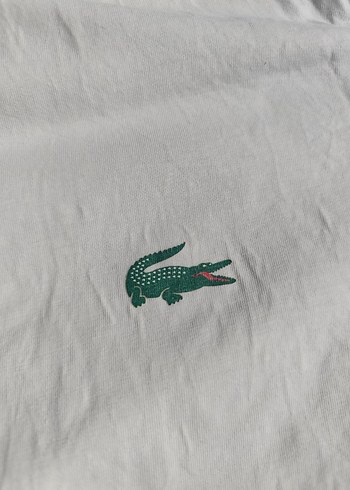 Lacoste Beyaz Kadın Kısa Kollu Basic Tişört