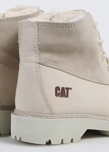 39 Beden Cat bot