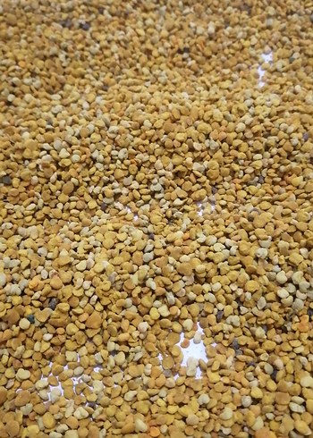 Polen taze kuru polen 1kg - Görsel 8