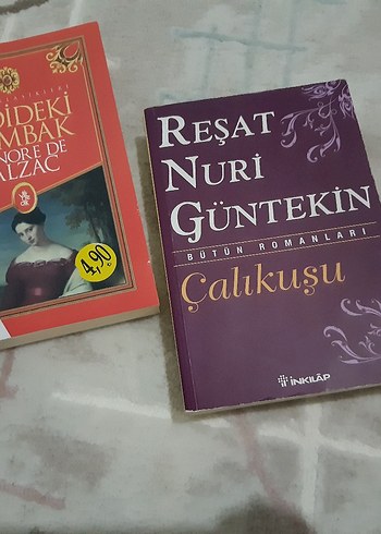 Çalıkuşu - Reşat Nuri Güntekin, Vadedeki Zambak