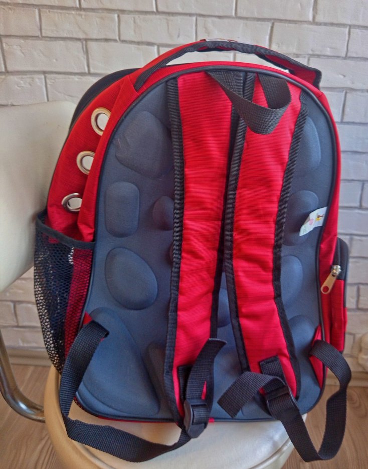 Kırmızı Şeffaf Kedi Taşıma Sırt Çantası - Görsel 2