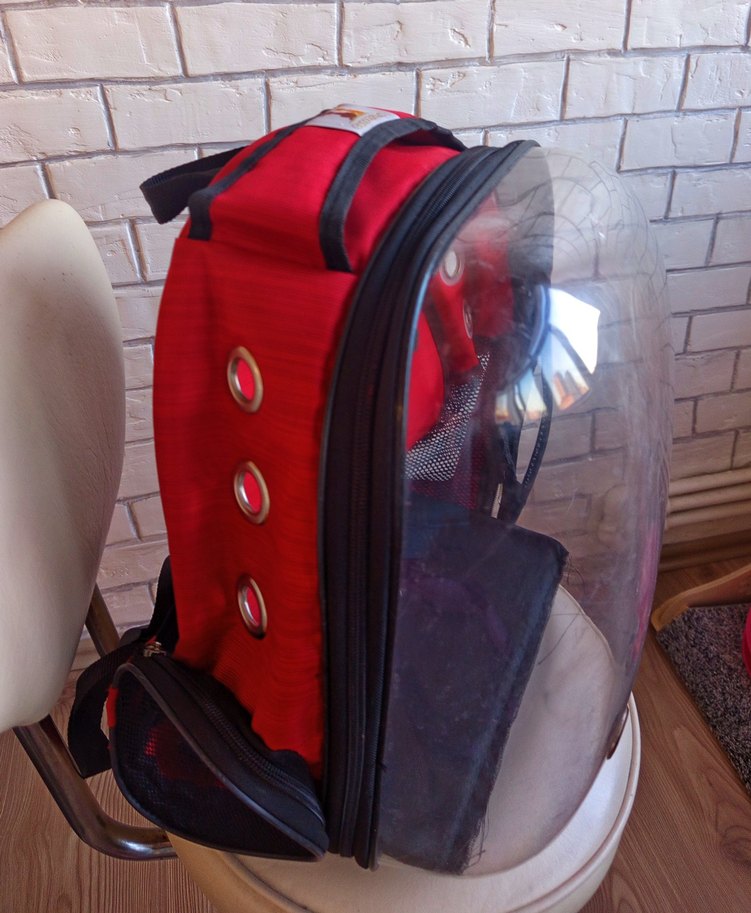 Kırmızı Şeffaf Kedi Taşıma Sırt Çantası - Görsel 3