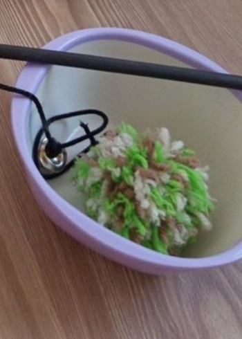 Kedi Mama ve Su Kabı Seti - Görsel 2