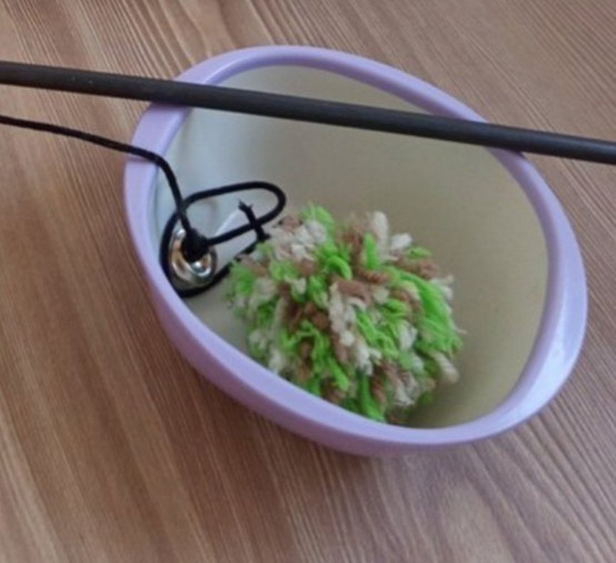 Kedi Mama ve Su Kabı Seti - Görsel 2