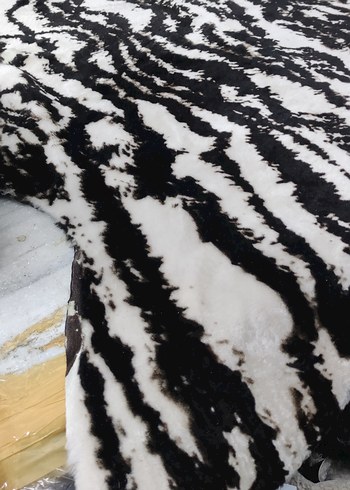 Beden gri Renk Hakiki Kuzu Deri Postu (Zebra Desenli)