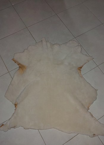 Hakiki Koyun Postu-İMALAT FİYATINA - Görsel 11