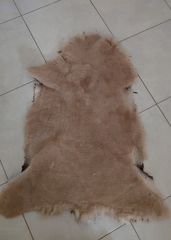 Hakiki Koyun Postu-İMALAT FİYATINA - Görsel 8