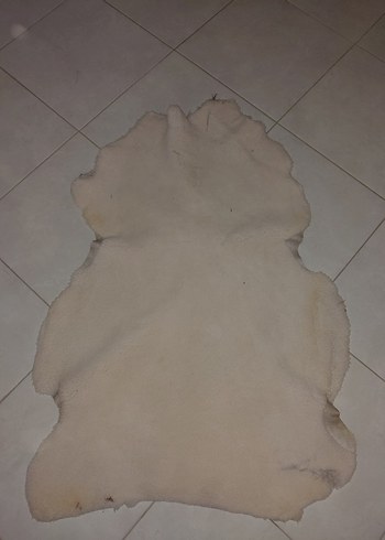 Hakiki Koyun Postu-İMALAT FİYATINA - Görsel 6